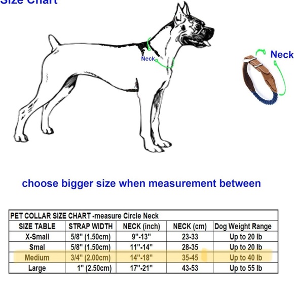 Leather & Rope Dog Collar with Flowers and Leash - Wedding Engagement Photoshoot - Picture 6 of 6